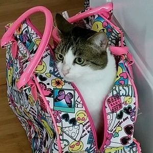 Meet your Posher, Amy